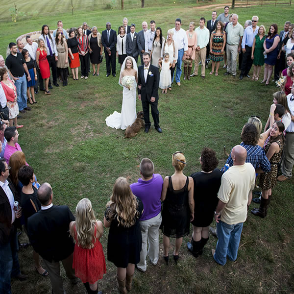Wedding photo 7