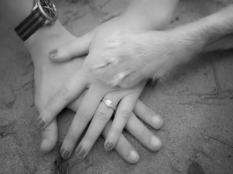 Engagement Portraits